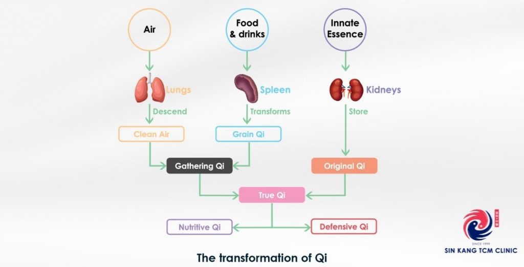 What are Yiguanjians efficacy and functions? Discover 5 key ways it boosts your health.
