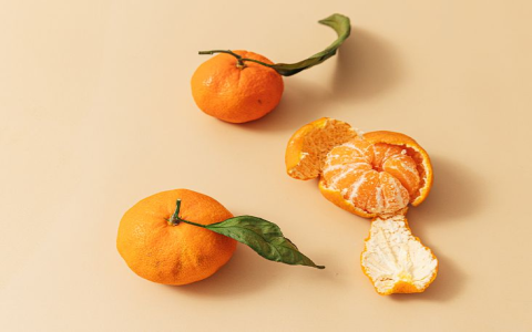 What are Bitter Oranges effects? (3 key functions you need to know!)