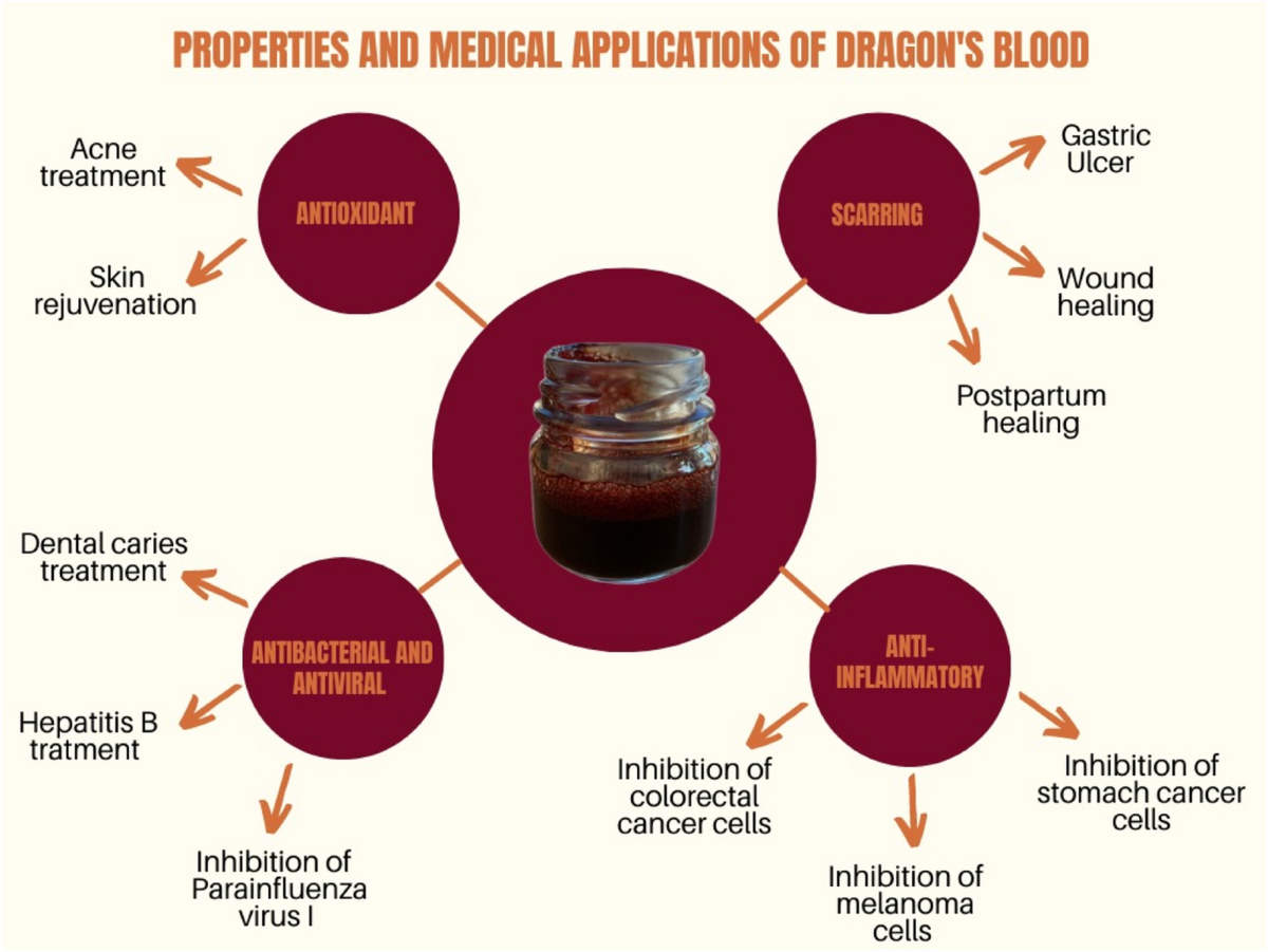Dragons Blood efficacy and function explained: Discover its amazing healing powers and best applications now.