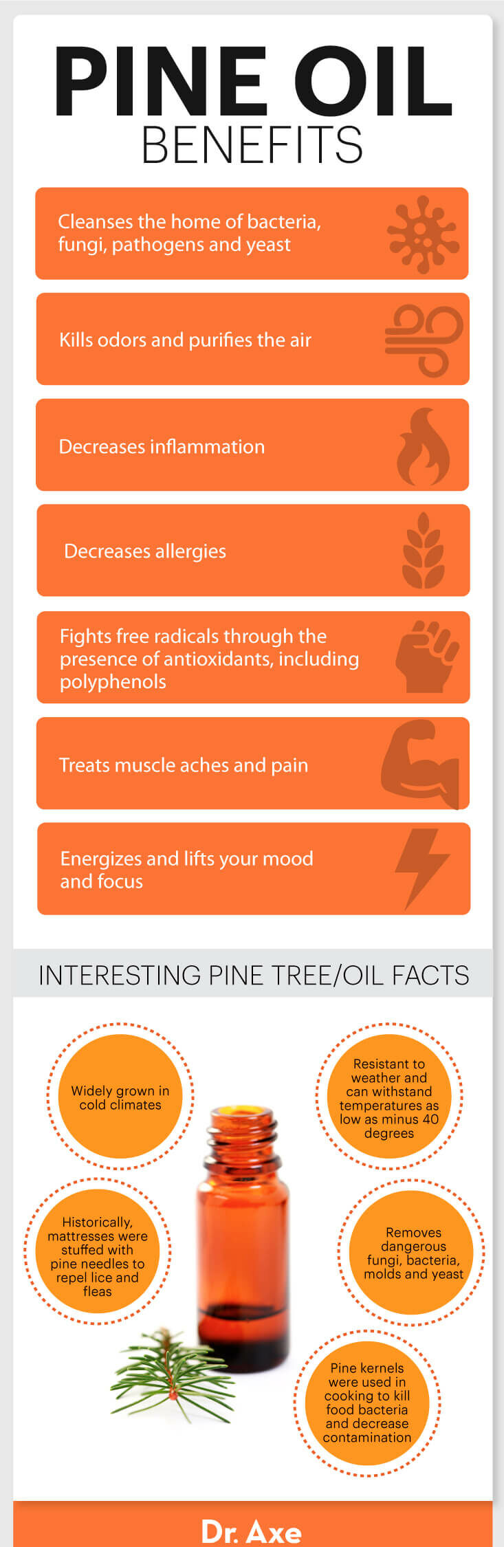 Unlock the Power: Oil Pine Knot Benefits Explained Simply