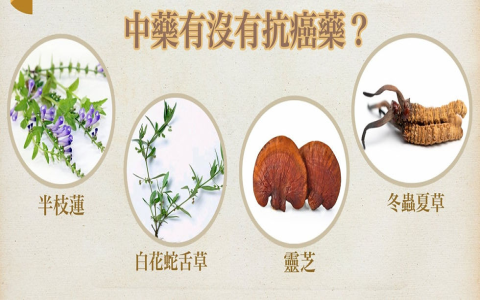 Bai Hua She She Cao Benefits: A Natural Remedy Overview