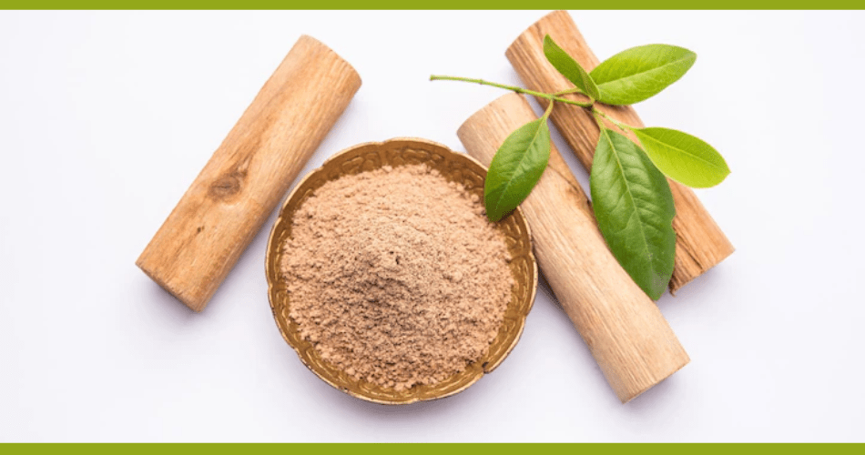 What are Sandalwood benefits and uses? Discover its amazing effects and how it helps you!