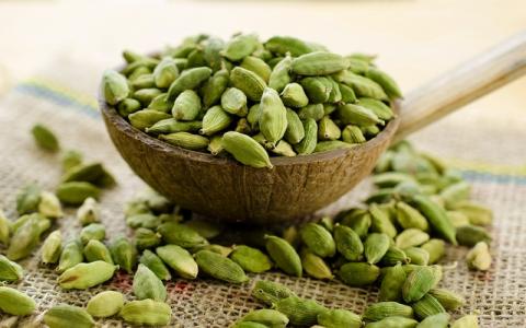 What is so great about Benefits and Effects of White Cardamom? (Learn about its amazing key points now!)