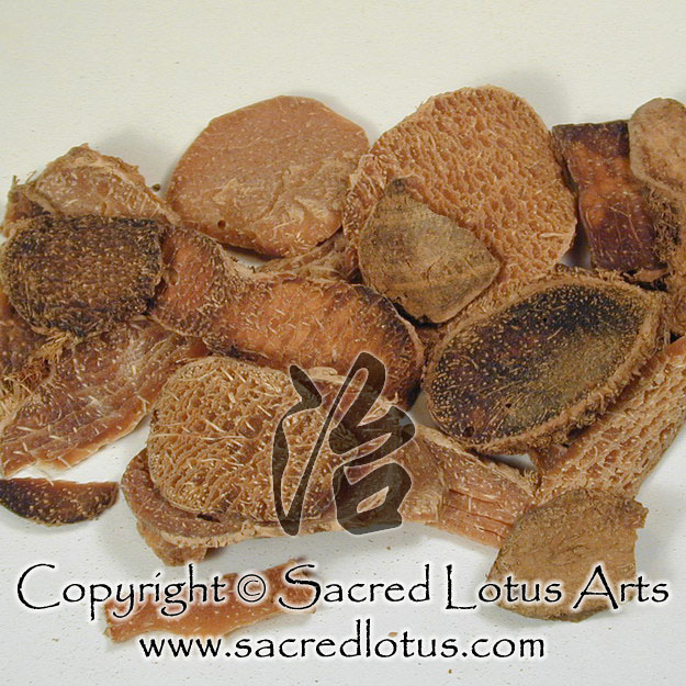 San Lengs efficacy and functions explained: (What you really need to know about this herbs power)
