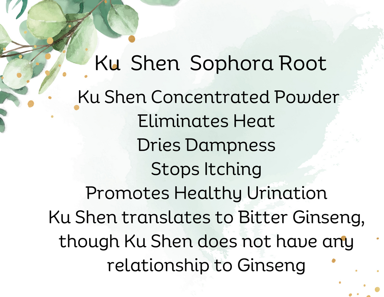 The Power of Ku Shen: Exploring Sophora Flavescens Benefits Today