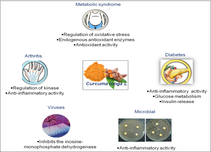 Exploring Curcumins Efficacy and Effects: Your Easy Guide to Understanding Its Amazing Health Perks.