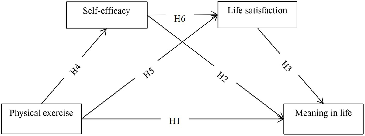 Shenqus efficacy and functions: how do they help? Learn its simple uses for feeling better.