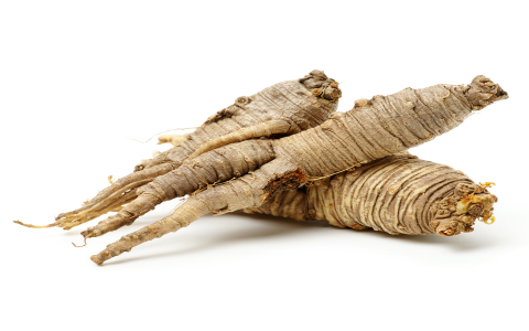 Exploring Adenophora Stricta Benefits and Effects (Your simple look at its powerful health properties)