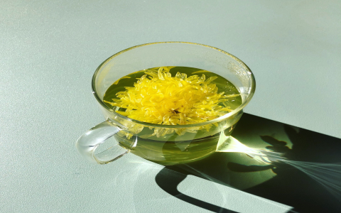 Explore the amazing benefits of Chrysanthemum for well being