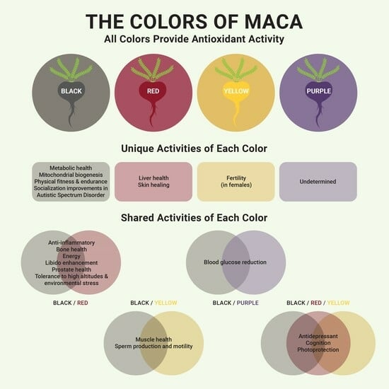 What Are Macas Benefits? (Top Facts)