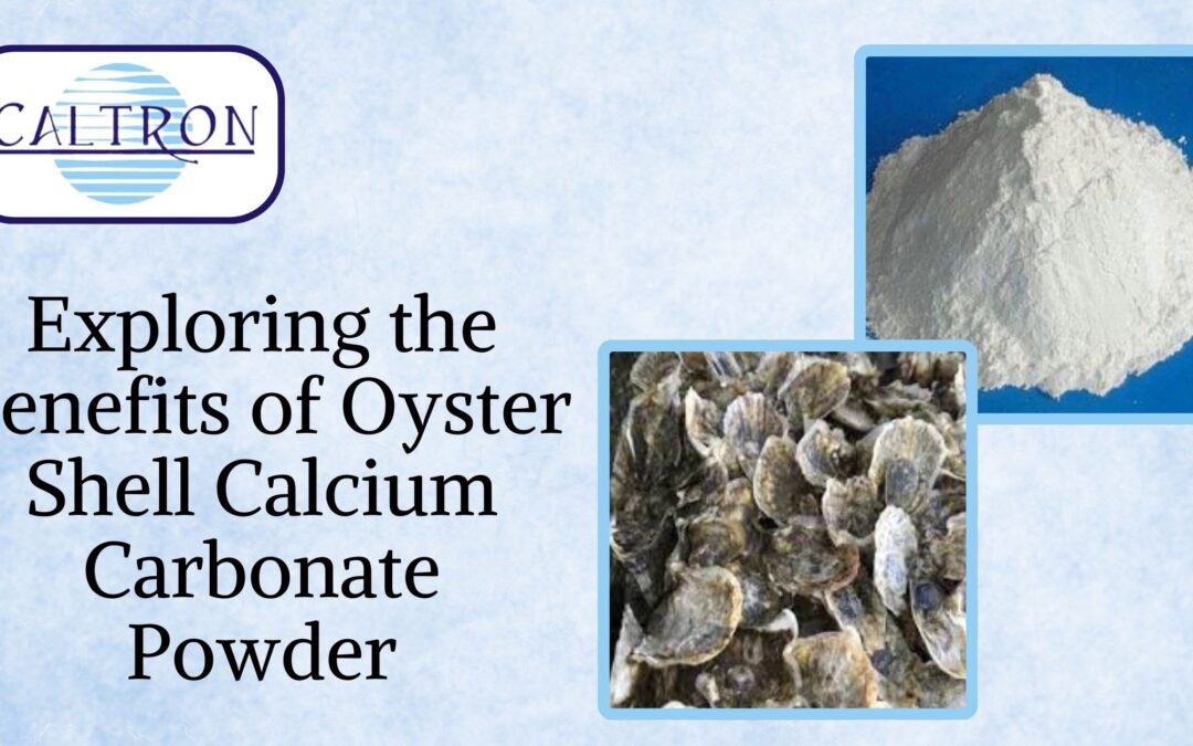 The truth about Calcined Oyster Shell benefits and effects: What everyone should know before trying it.