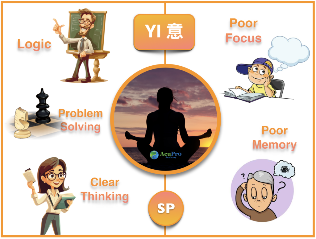 What are Yiguanjians efficacy and functions? Discover 5 key ways it boosts your health.