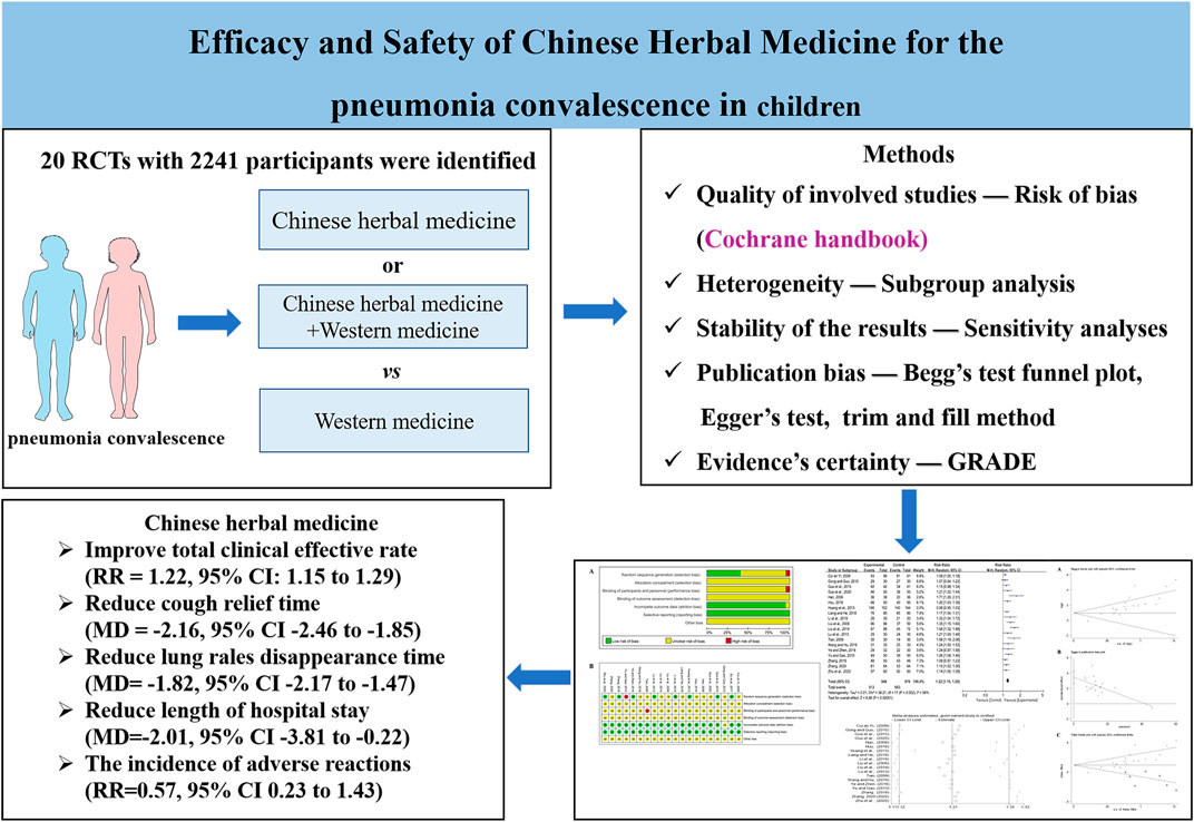 Bazheng Sans efficacy and function: How does this traditional remedy work and what are its main effects?