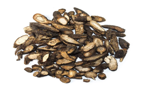 Exploring the effects of Fangfeng: What you should know about Saposhnikovia divaricas healing power now!
