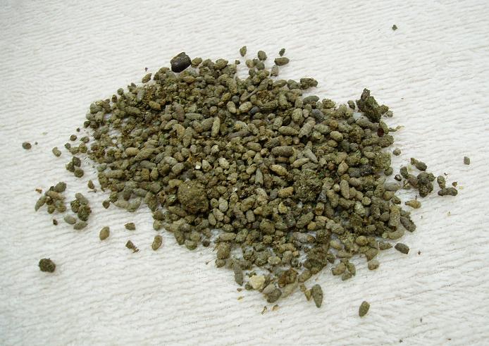 Unlocking The Efficacy and Functions of Ye Ming Sha (Your simple look at this old remedy!)