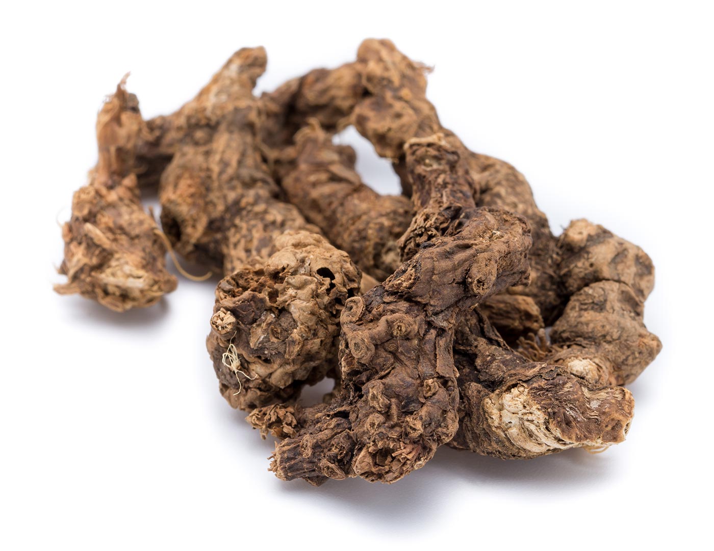 What Is Cang Zhu Good For? Unveiling the Benefits Now