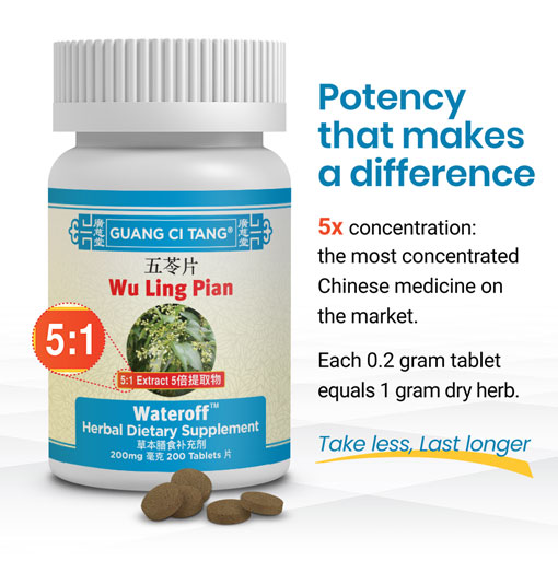 The true role and efficacy of Yinchen: Learn what makes this herb such a powerful natural aid.