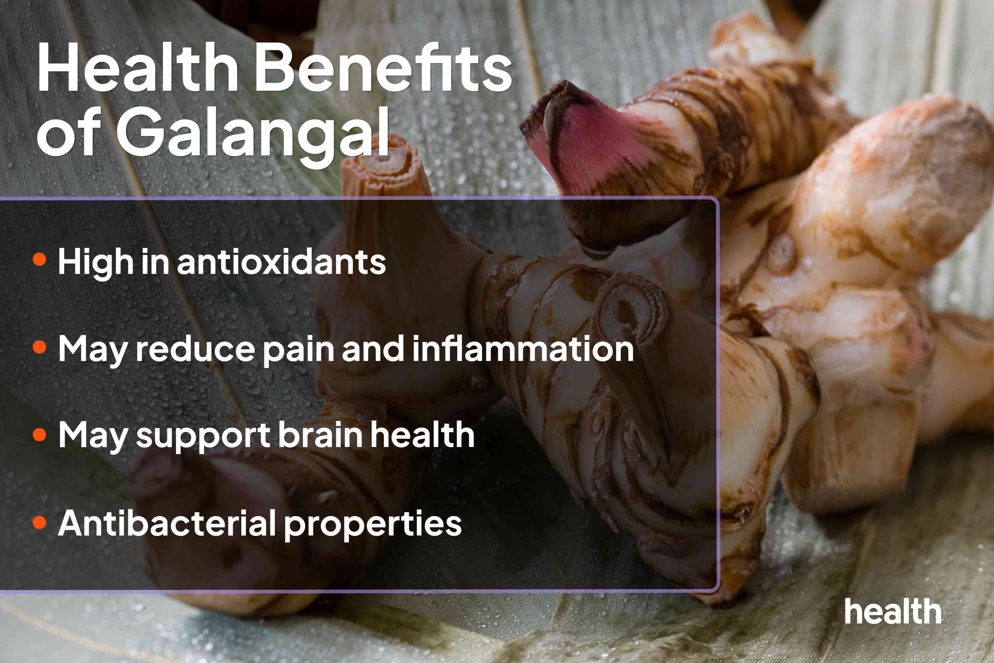How can Galangal Benefits and Uses improve your health? Learn simple ways to use it every day.