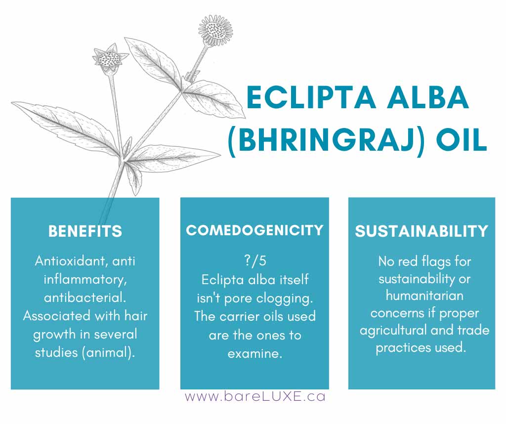 What are Eclipta prostrata benefits and uses for wellness? Learn simple ways this herb can improve health.