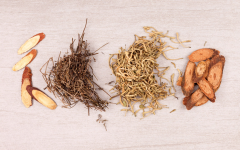 Zhi Mu Herb: What is Zhi Mu used for & Side Effects?