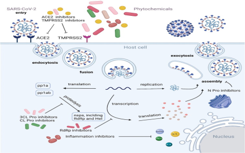 Gypsum Fibrosum efficacy and effects: How does it work and what are its main uses for you?