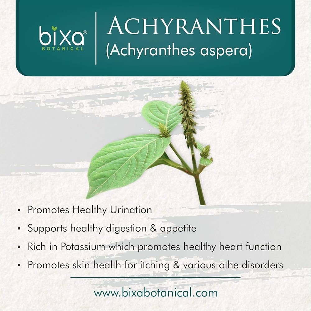 Unlocking Achyranthes Root Benefits: Simple methods to use this powerful root for better wellness.