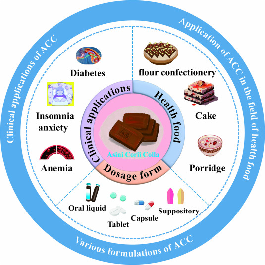 Want to know more about Ejiao benefits? This simple guide shows its amazing health advantages.