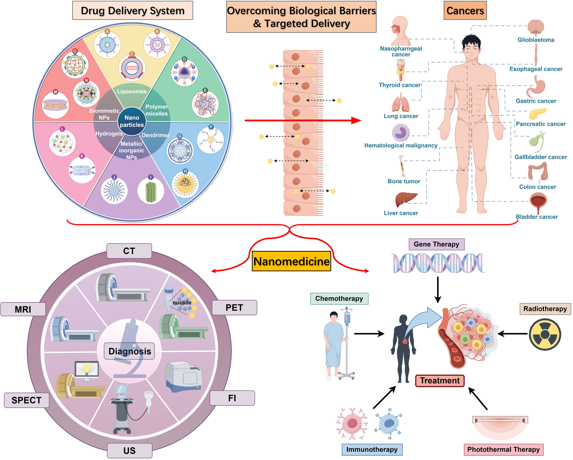 Maximize Bai Zhus Efficacy: Simple Tips to Get The Most From This Natural Remedy Now.