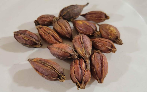 Zhi Ke benefits explained: get these health advantages.