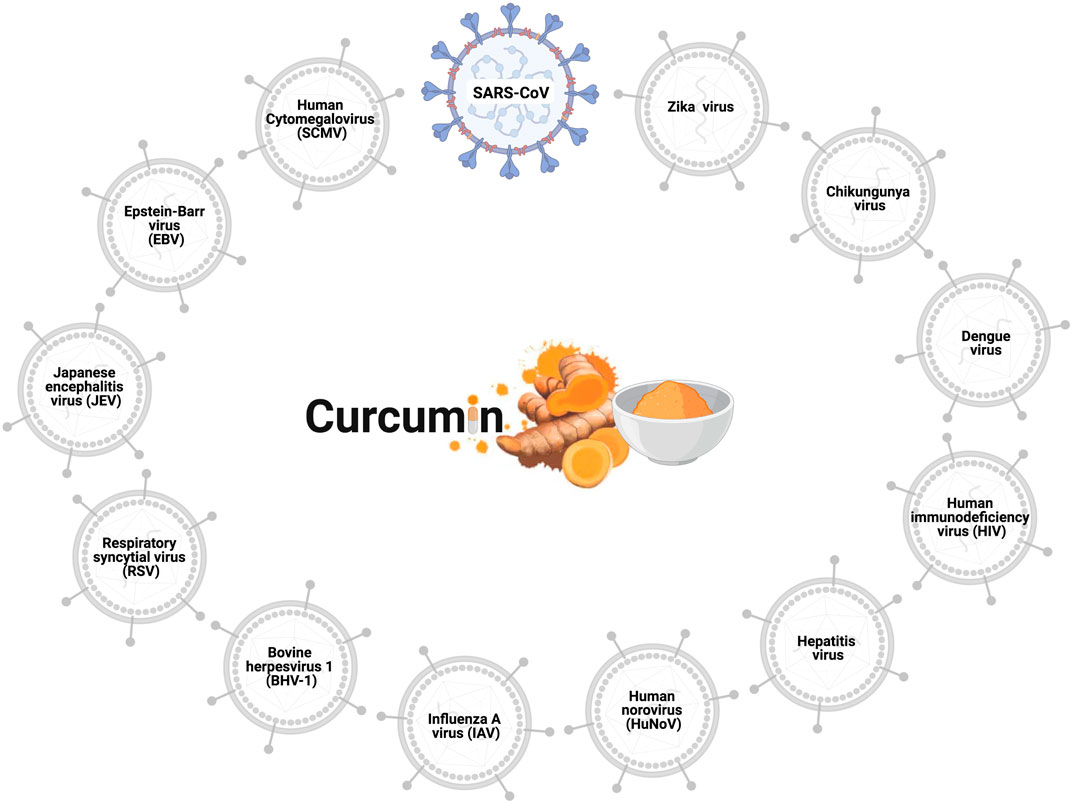 Exploring Curcumins Efficacy and Effects: Your Easy Guide to Understanding Its Amazing Health Perks.