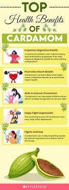 What is so great about Benefits and Effects of White Cardamom? (Learn about its amazing key points now!)