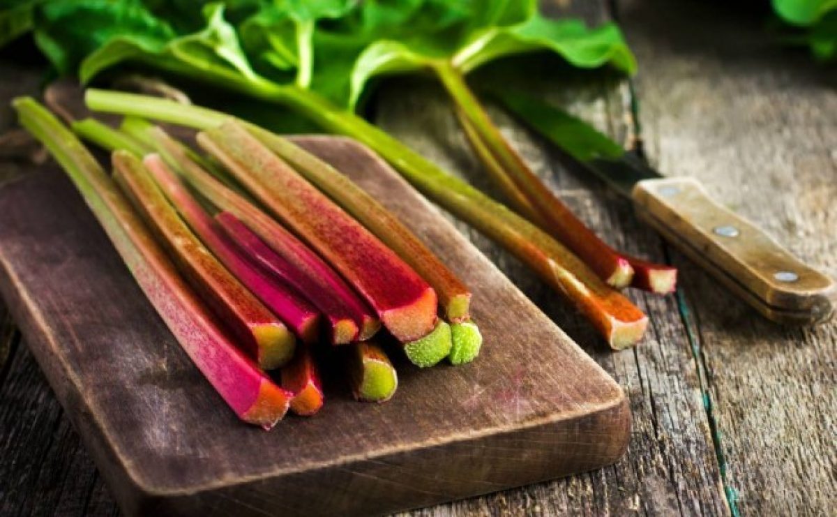 What are the Effects and Functions of Raw Rhubarb? Learn these surprising health benefits easily!
