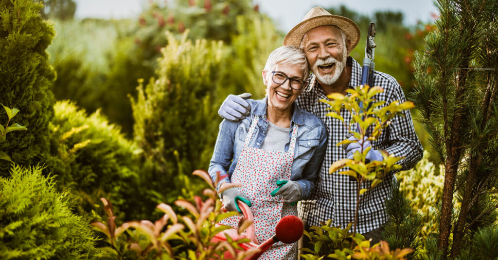 Learn Guan Zhongs efficacy and effects: Best ways this old plant helps you feel good and stay healthy.
