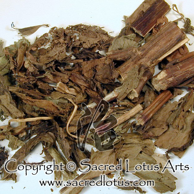 Discover Bugleweeds power: A simple guide to Ze Lans efficacy and functions for you.