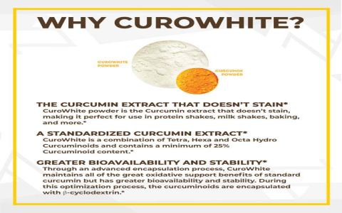 Exploring Curcumins Efficacy and Effects: Your Easy Guide to Understanding Its Amazing Health Perks.