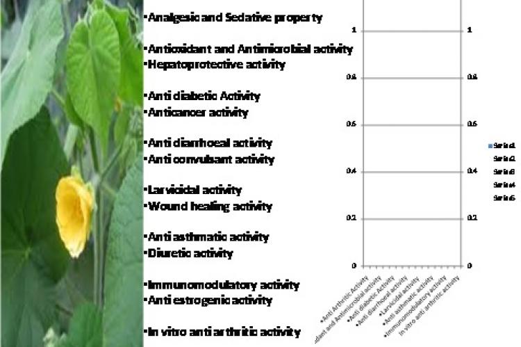 The real benefits and effects of Abutilon Indicum: A simple guide to this cool medicinal plant.