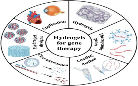 Understanding Hezis Efficacy and Functions (A quick and easy guide to its powerful uses)