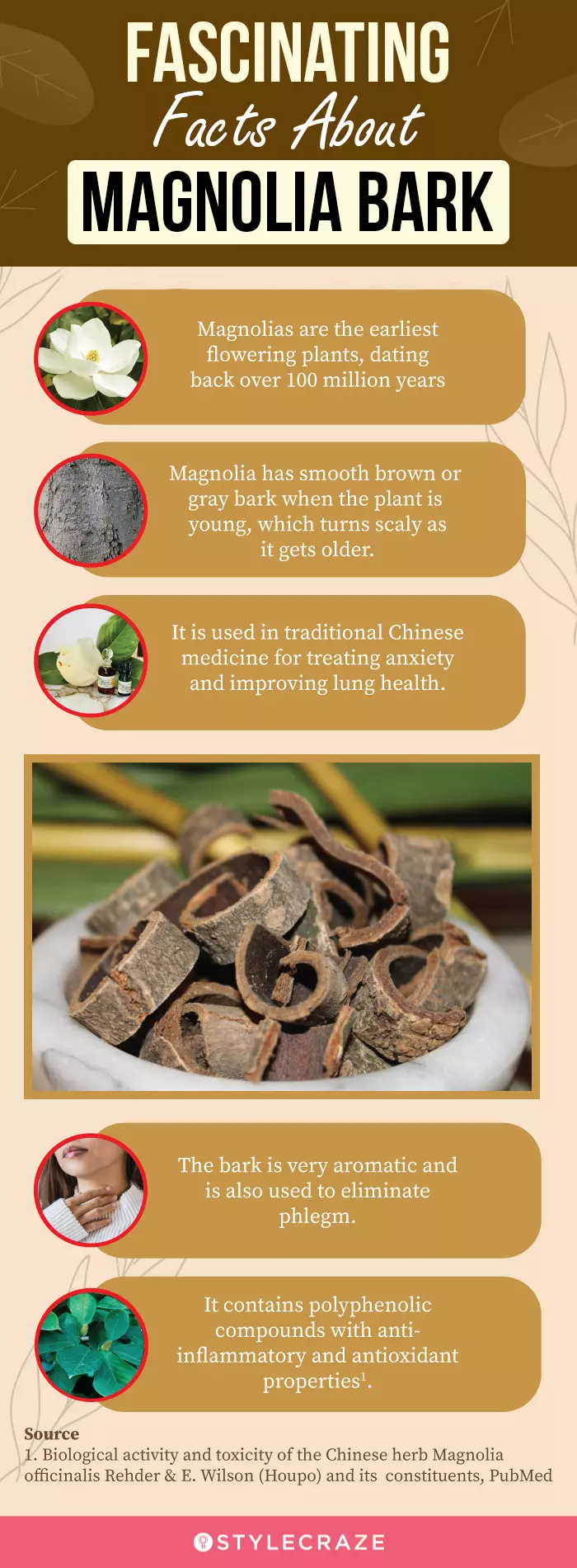 What are Magnolia Barks functions and benefits? (Understand these 5 key points for your health)