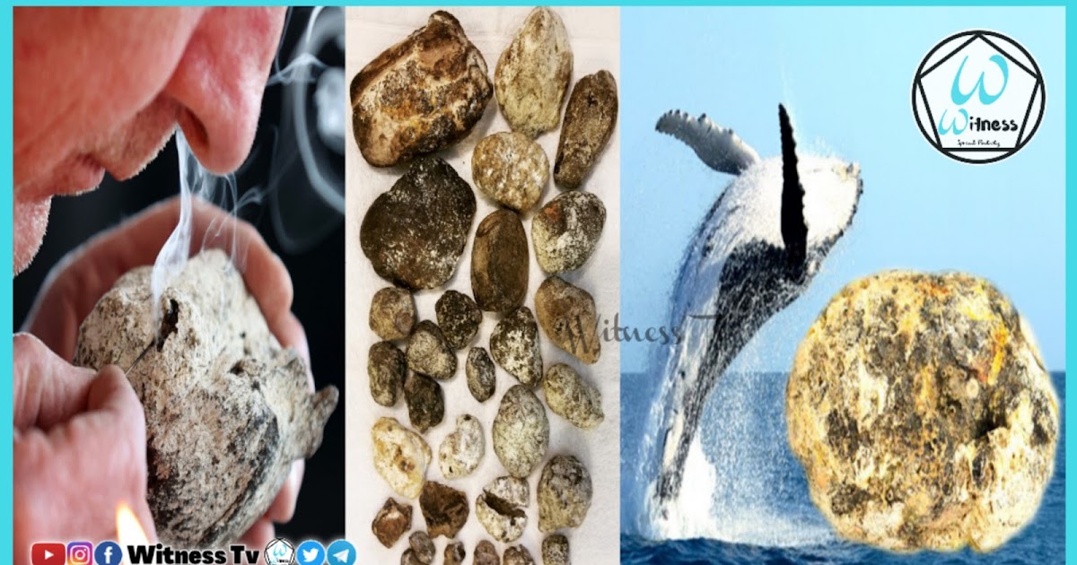 Want real Ambergris benefits and effects? Understand its uses and what it can do for you.