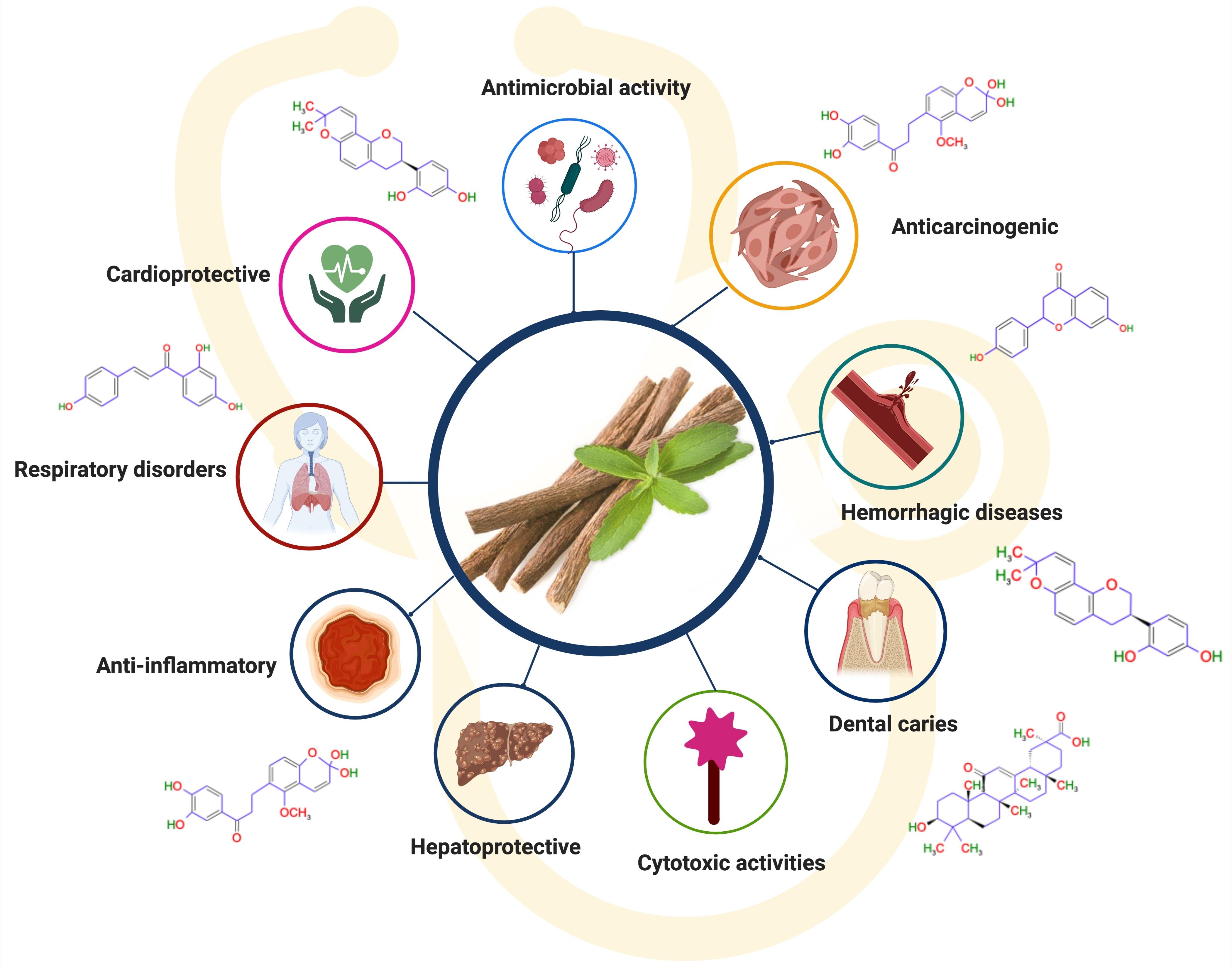 Why explore Dipsacus root benefits and uses? This knowledge can improve your daily health.