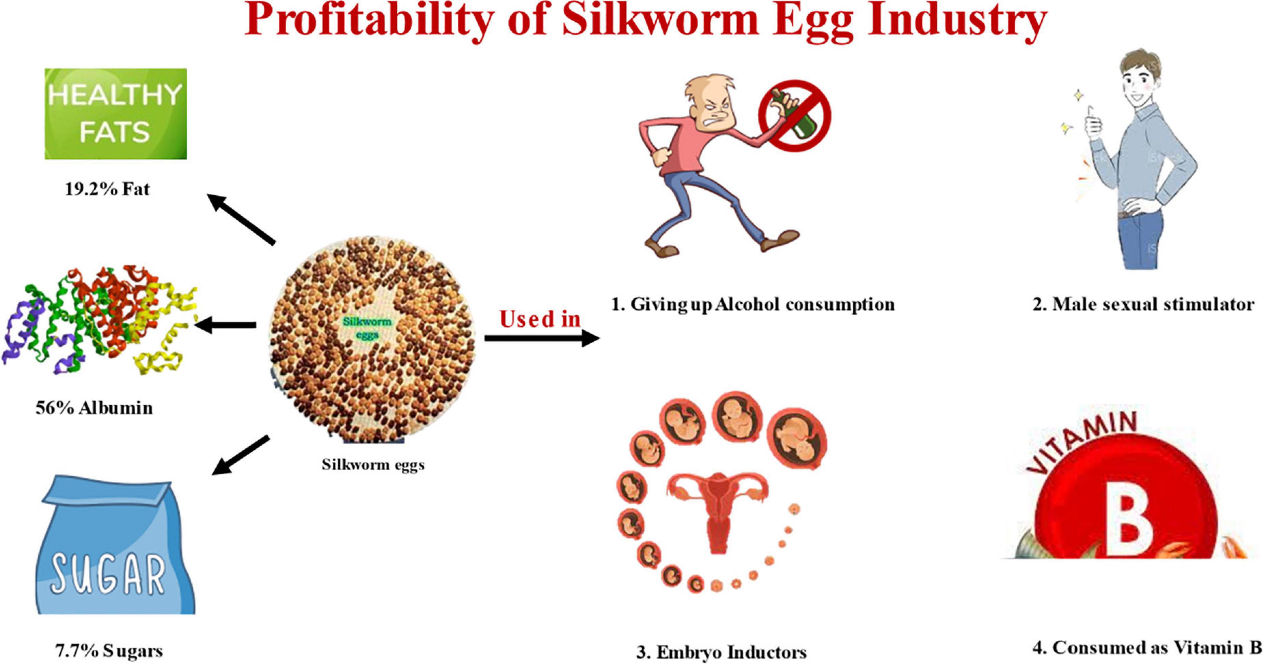 Exploring Fried Stiff Silkworm benefits and effects? We explain its main good points very clearly for you.