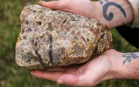 Want real Ambergris benefits and effects? Understand its uses and what it can do for you.